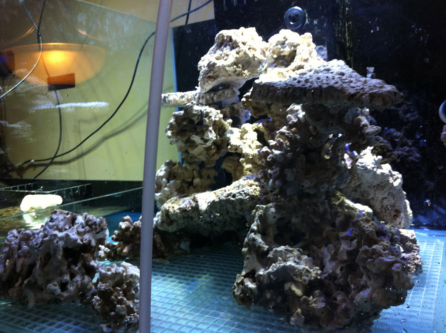 Rockwork 02 - 100 cube and 65 frag tank setup