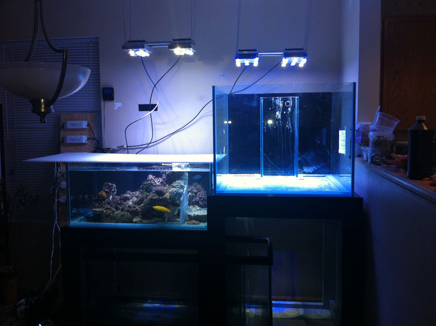 Setup 02 - 100 cube and 65 frag tank setup